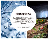 New Podcast: Episode 52 Matt Roeske from Sacred Resistance - Primary water, Frequencies, Electroculture and more
