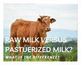 Raw unpasteurized milk vs pasteurized milk