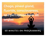 New Rumble video: Chaga, pineal gland, fluoride, consciousness, and perception from all angles