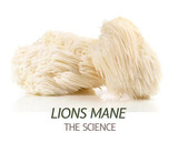 Science based benefits of lions mane mushroom