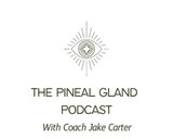 Podcast on Fluoride and Pineal gland with Jake & Matt