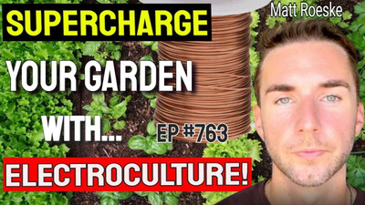 New Youtube Video: Electroculture Basics For Gardening & A Healthier Body!