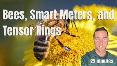 Bees, Smart meters, Dragons blood, Vitamins, and Tensor Rings