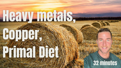 Heavy metals, Tonsil issues, Copper, and the Primal Diet