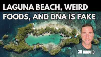 Laguna beach, fake dna, and fake foods