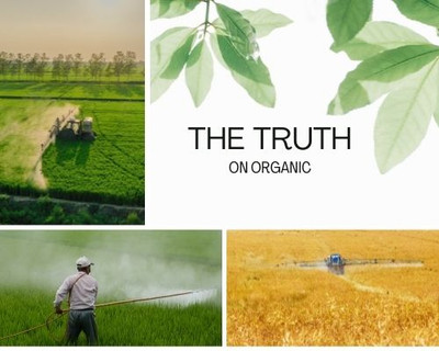 3 main reasons we should be consuming organic supplements