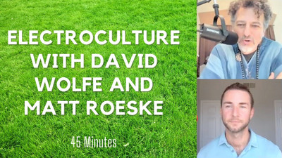 David avocado Wolfe speaks to Matt Roeske on Electroculture