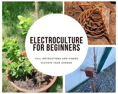 Electroculture for Beginners —