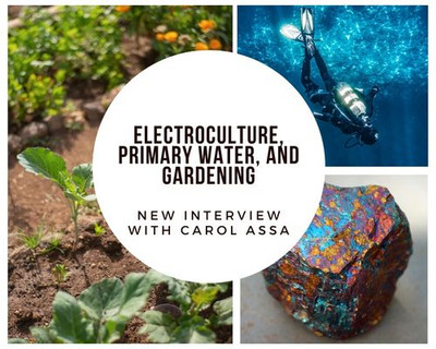 New Youtube Interview: Electroculture, Primary water, and Food Shortages