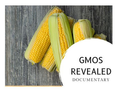 GMOS and the dangers