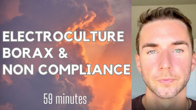 Electroculture movement, BORAX, citric acid, pearls, and non compliance