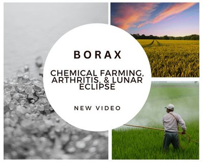 New Rumble Video: Borax, chemical farming, arthritis, & lunar eclipse