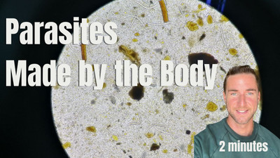 Parasites are made by the body