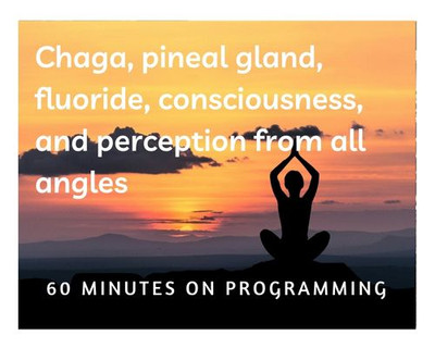 New Rumble video: Chaga, pineal gland, fluoride, consciousness, and perception from all angles