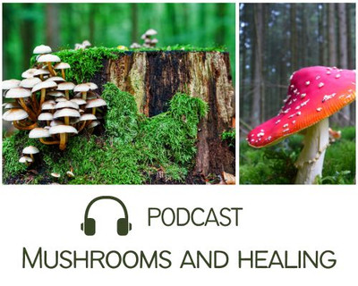 Podcast on Mushrooms and the healing potentials