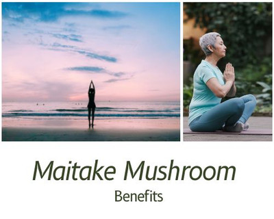 Maitake Mushrooms and Their Benefits