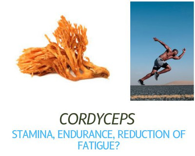 What are the benefits of taking Cordyceps?