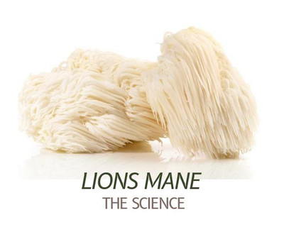 Science based benefits of lions mane mushroom