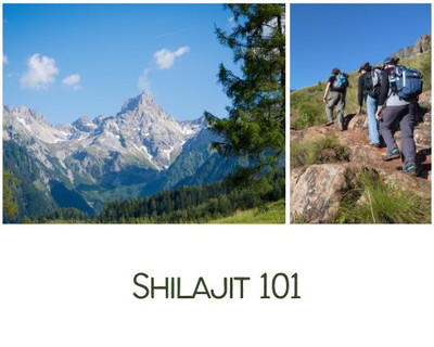 The Ultimate Healing Tonic: Shilajit / Mumijo