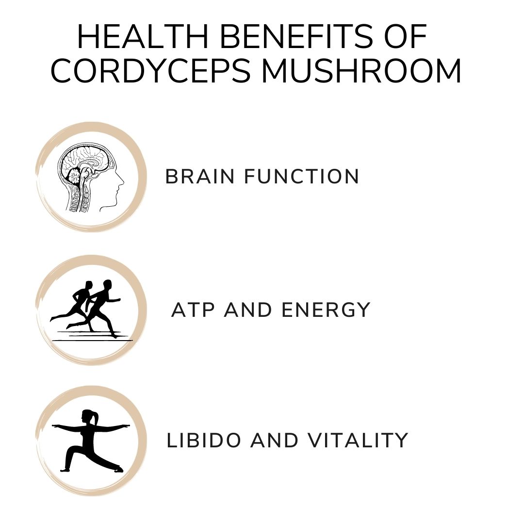 health benefits of cordyceps mushroom