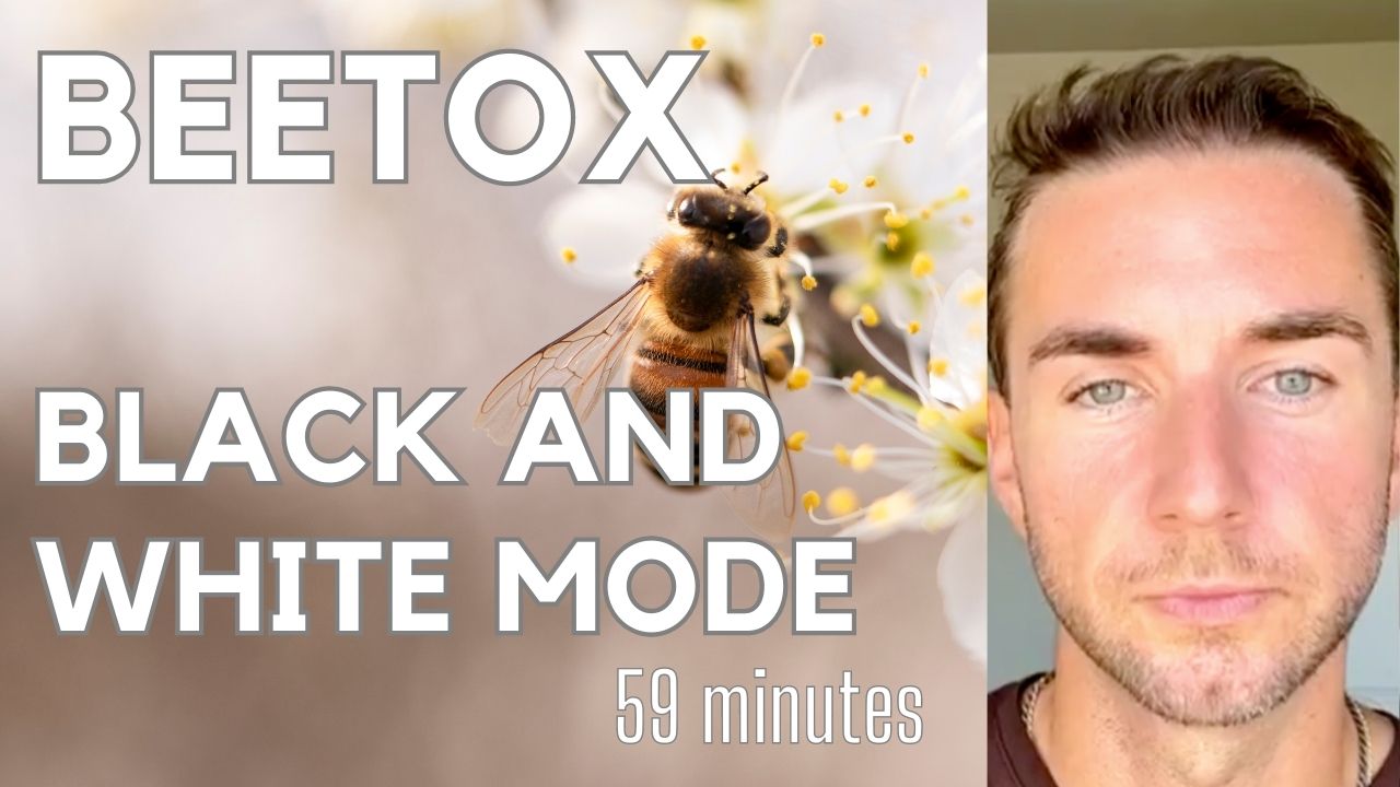 Beetox, bees, electricity, deprogramming, and black and white mode ...