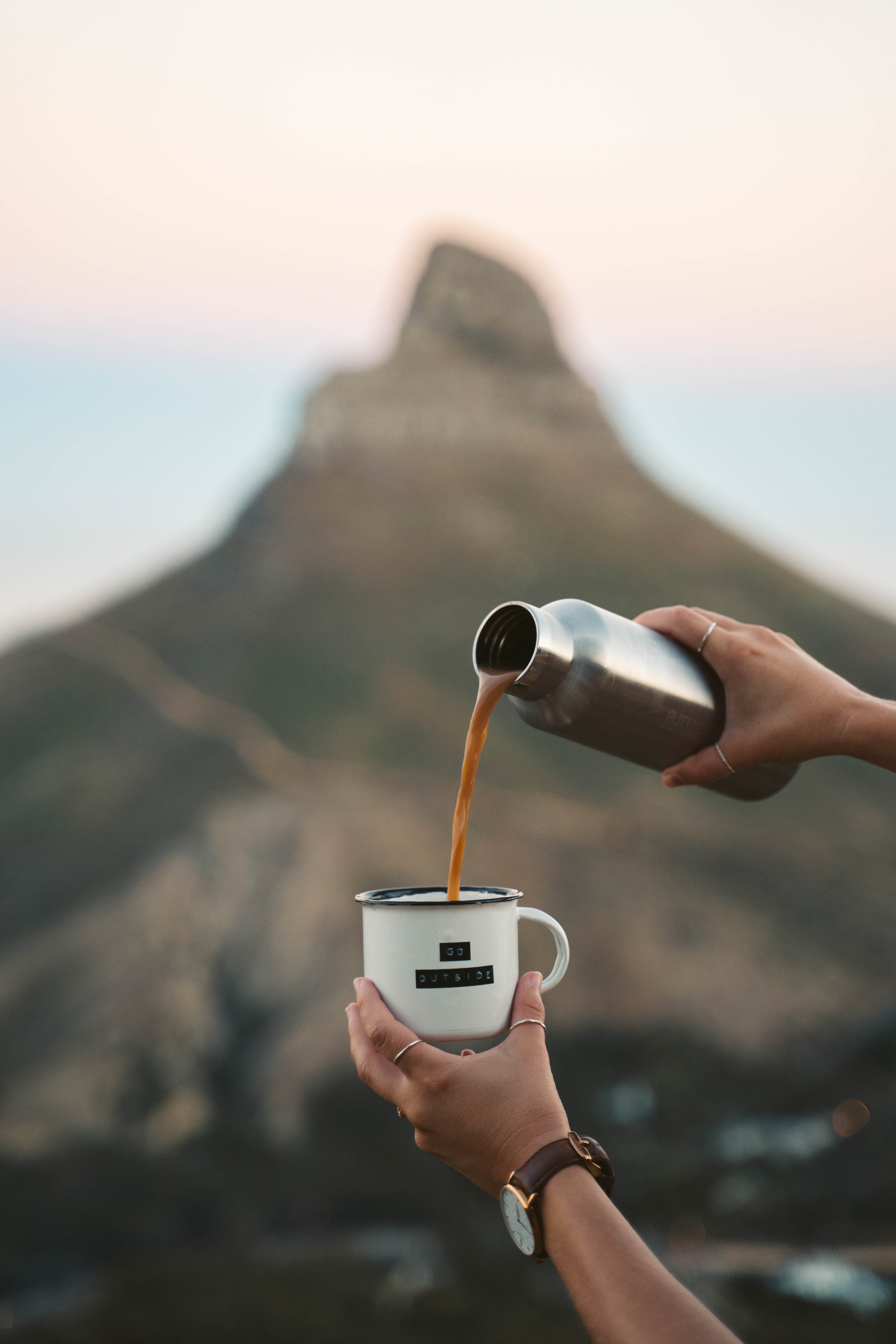 MUSHROOM EXTRACT mushroom powder chaga reishi turkey tail lions mane tremella maitake shilajit cordyceps militaris cordyceps sinensis shiitake brain focus balance lions mane tremella reishi cordyceps chaga  ginkgo no pesticides no fillers and lab tested