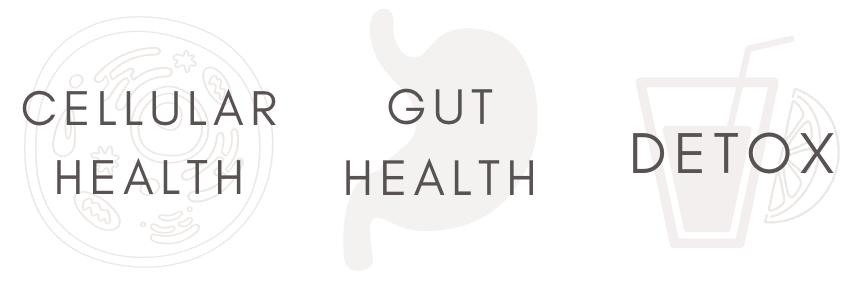 MUSHROOM EXTRACT mushroom powder chaga reishi turkey tail lions mane tremella maitake shilajit cordyceps militaris cordyceps sinensis shiitake brain focus balance lions mane tremella reishi cordyceps chaga  ginkgo