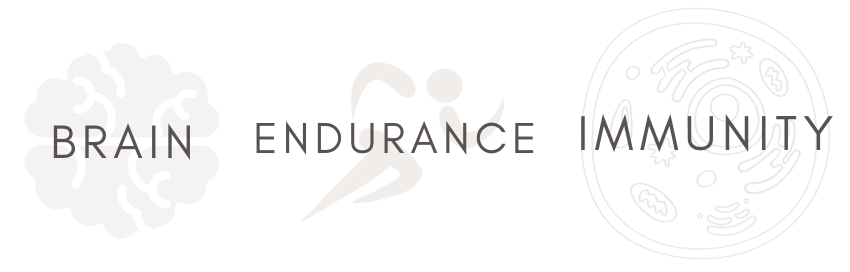 MUSHROOM EXTRACT mushroom powder chaga reishi turkey tail lions mane tremella maitake shilajit cordyceps militaris cordyceps sinensis shiitake brain focus balance lions mane tremella reishi cordyceps chaga  ginkgo
