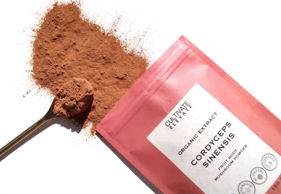 cordyceps sinensis extract powder