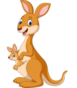 PAD-ROO Icon