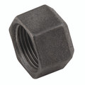 2"    BSPP FEMALE HEX CAP BLACK - 1/4" BSP Parallel Female, Malleable Iron Pipe Fitting, Black, Cap Hexagonal, Fig 2"    BSPP FEMALE HEX CAP BLACK - 1/4" BSP Parallel Female, Malleable Iron Pipe Fitting, Black, Cap Hexagonal, Fig