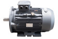 TEC 0.75Kw, 6 Pole Cast Iron Motor 0.7563TECCB35-IE3
