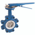 2.1/2 PN16 L&T BFLY VVE CS/SS/FPM LVR OP - 2