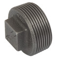 (BS FIG147) BSPT HOLLOW PLUG 2.1/2 BLK - 2