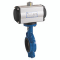 2.1/2" WAFER BFLY DI/EP F/W HAIT SA ACT - 2