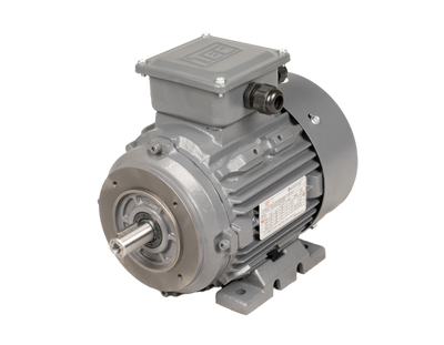 TEC 2.2Kw, 2 Pole Cast Iron Motor 2.223TECCB34-IE3 - 2