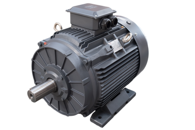 TEC 2.2Kw, 2 Pole Cast Iron Motor 2.223TECCB3-IE3 - 2