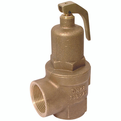 1" 9.5 BAR SAFETY RELIEF VALVE - 1" BSP Parallel Female, Safety Relief Valve (Fig 542), Gunmetal, Maximum Working Temperature +195°C, Set Pressure 9
