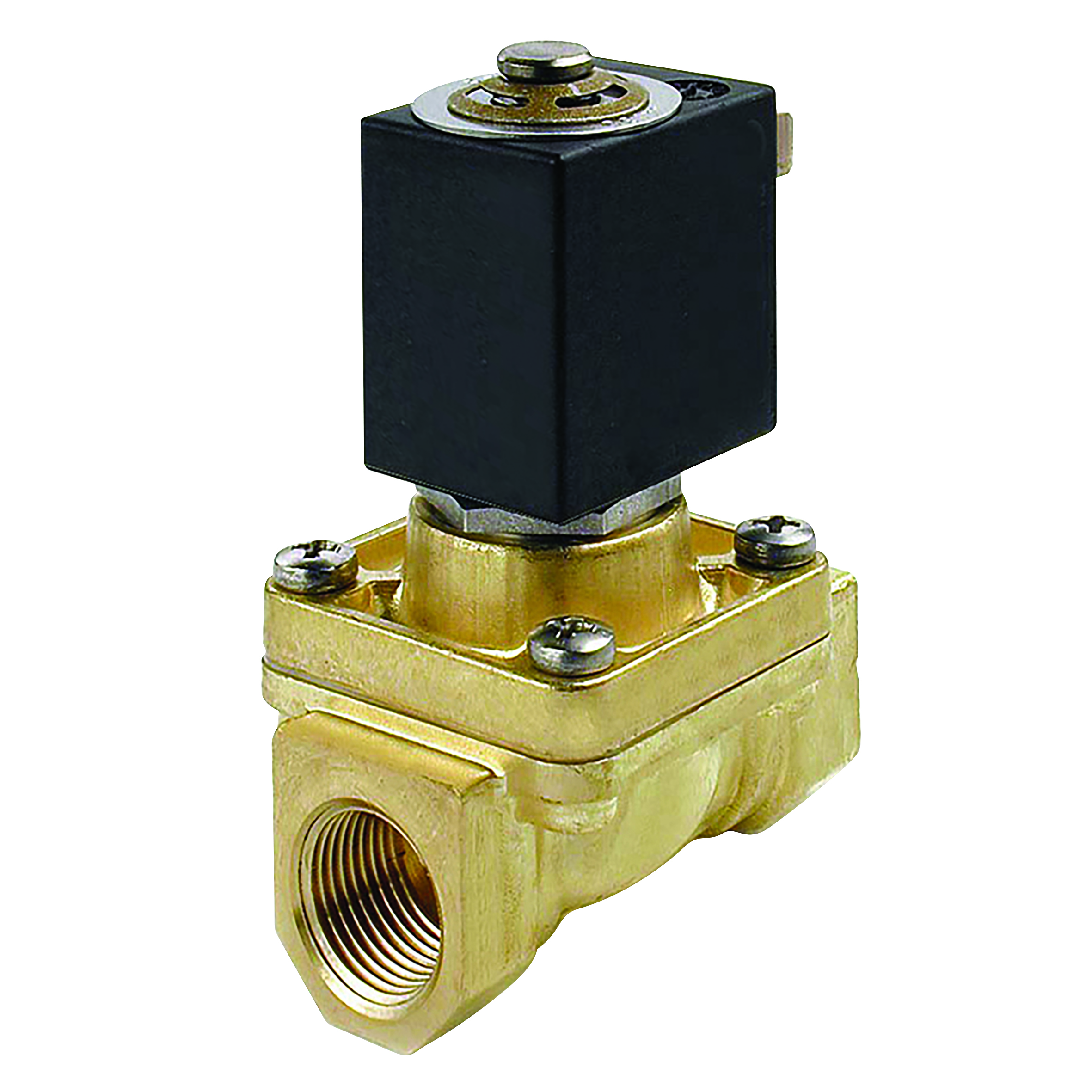 3/4" 2/2 NC STEAM/WATER VALVE 230V 50HZ