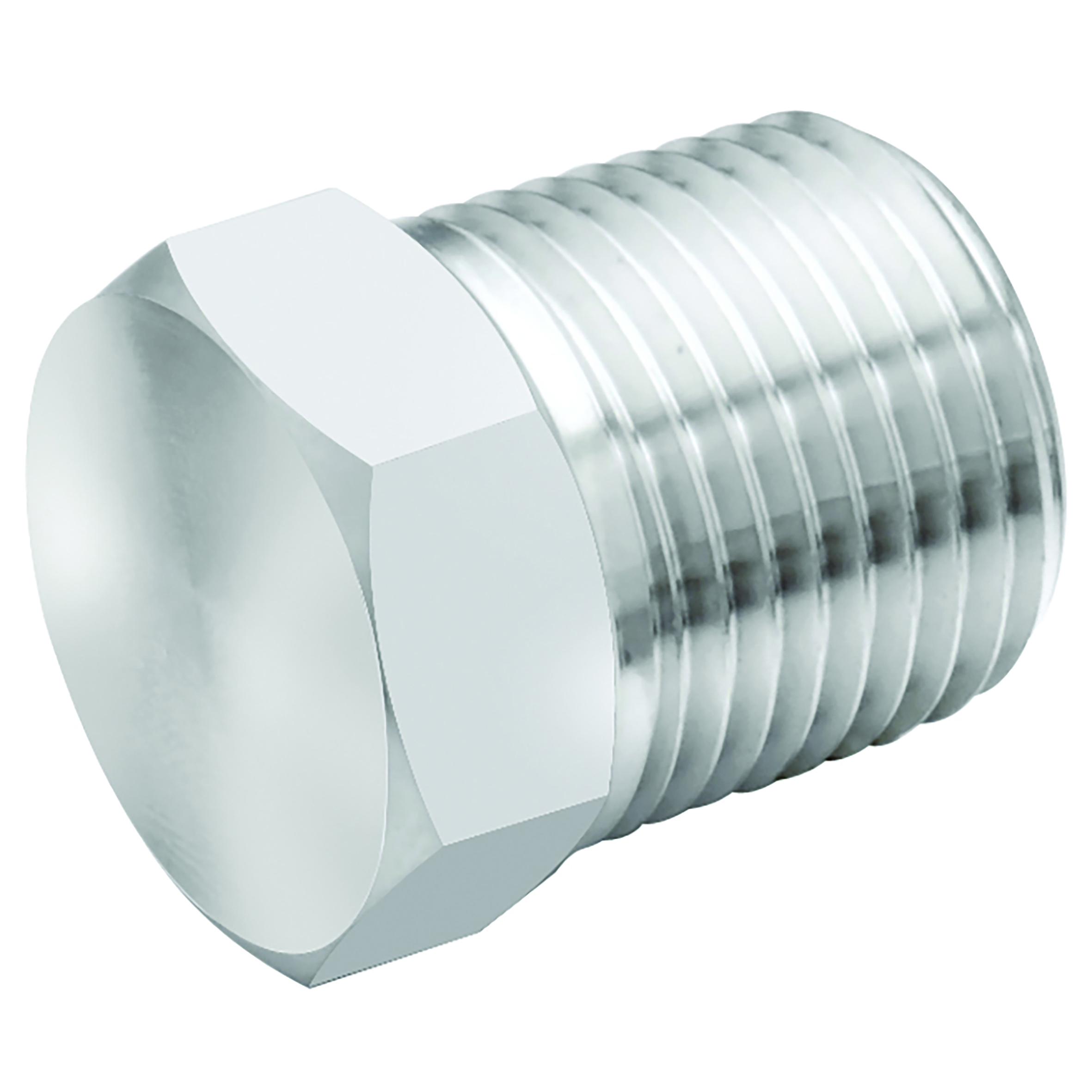 3/8" BSPT MALE PLUG 316S.S HEX HEAD