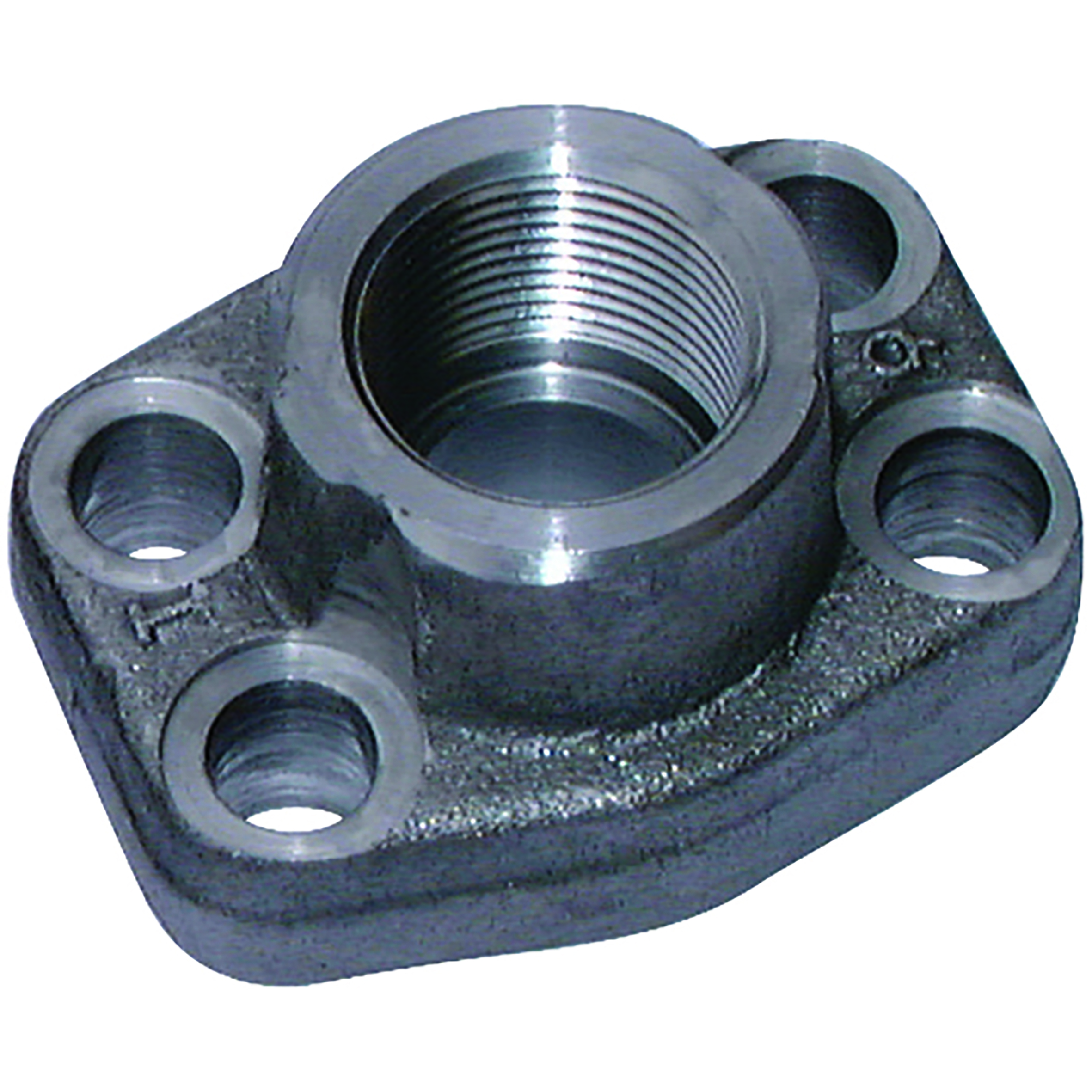 2" SAE FLANGE C/W 2" BSPP