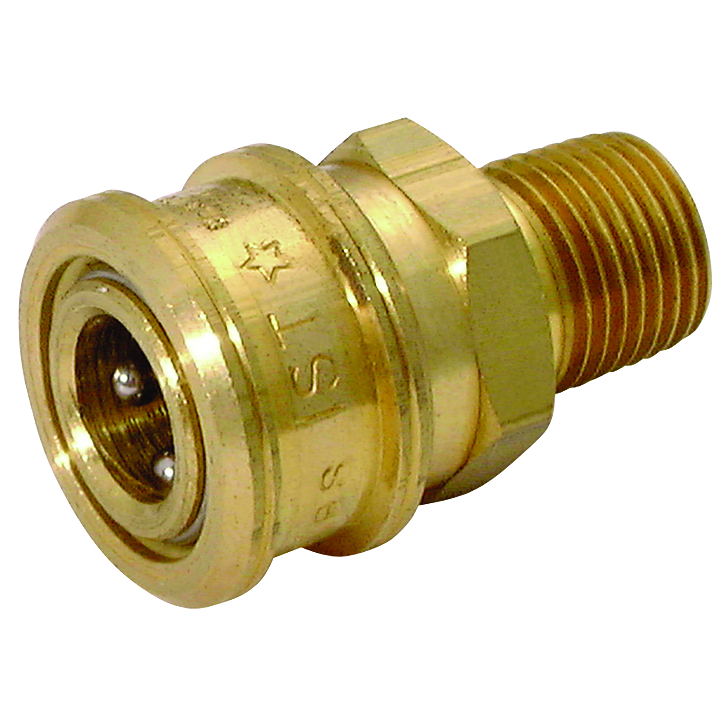 1/2" NPTF MALE COUPLING BRASS