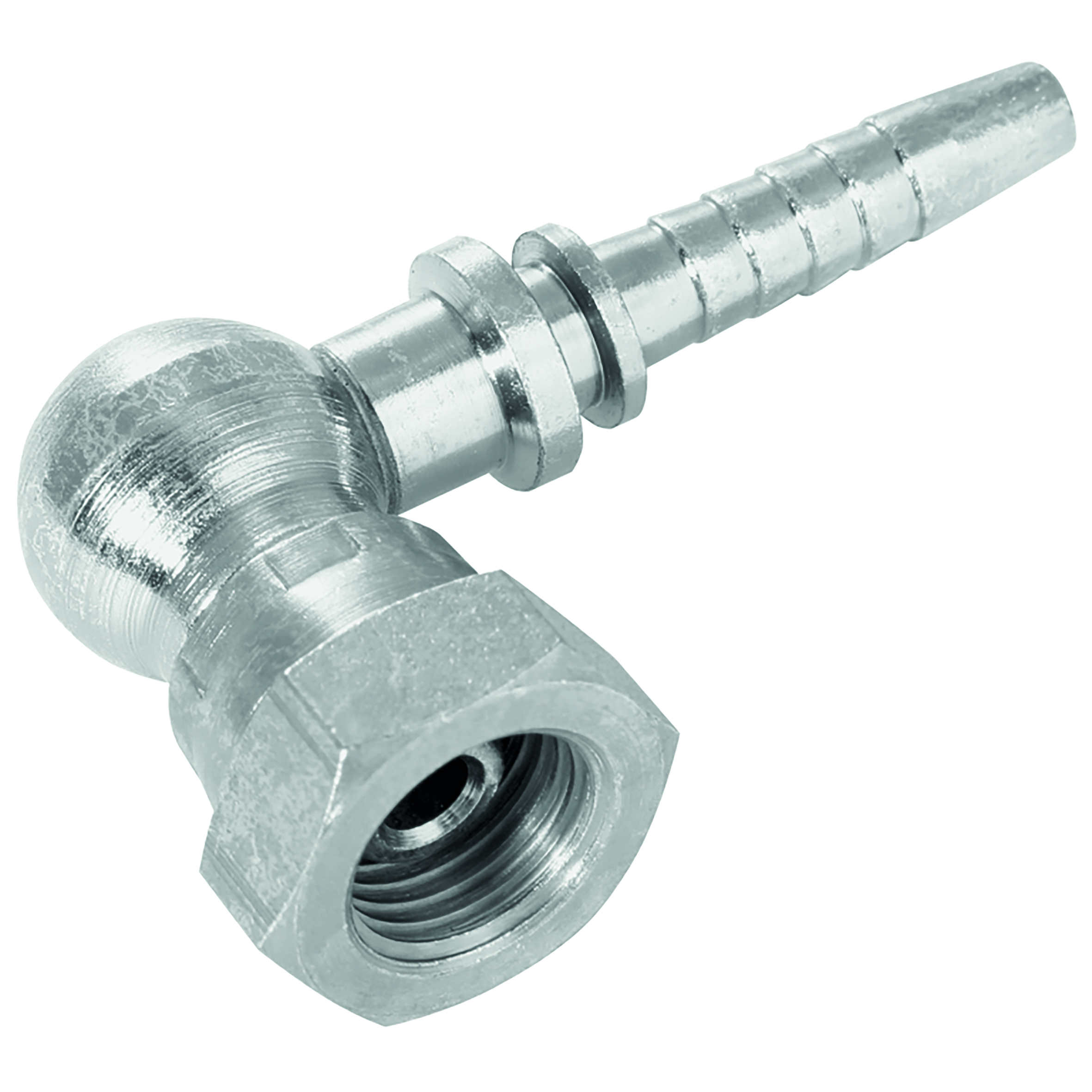 3/4" BSPP FEMX3/4" HOSE TAIL 90  ELBOW