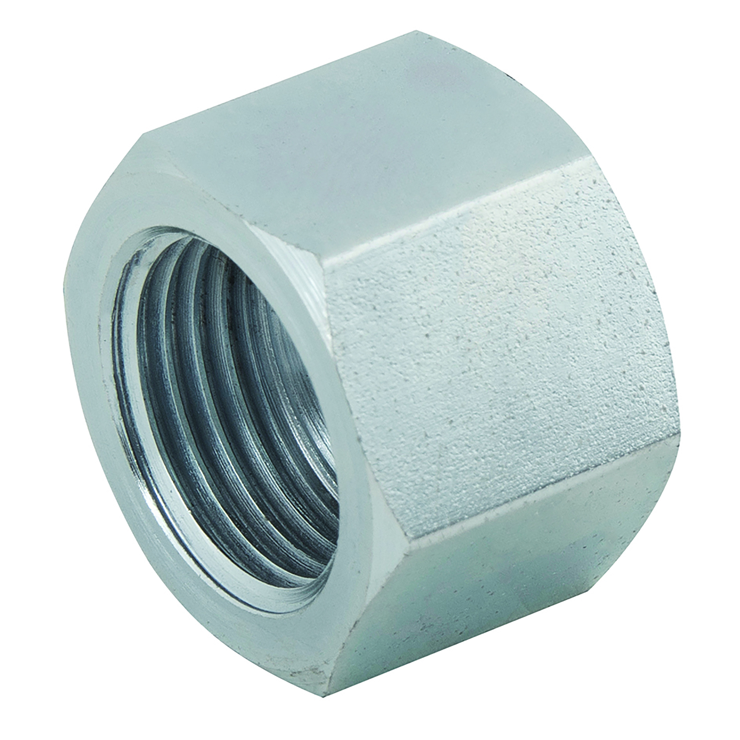 3/4" BSPP JIS FEMALE STEEL CAP