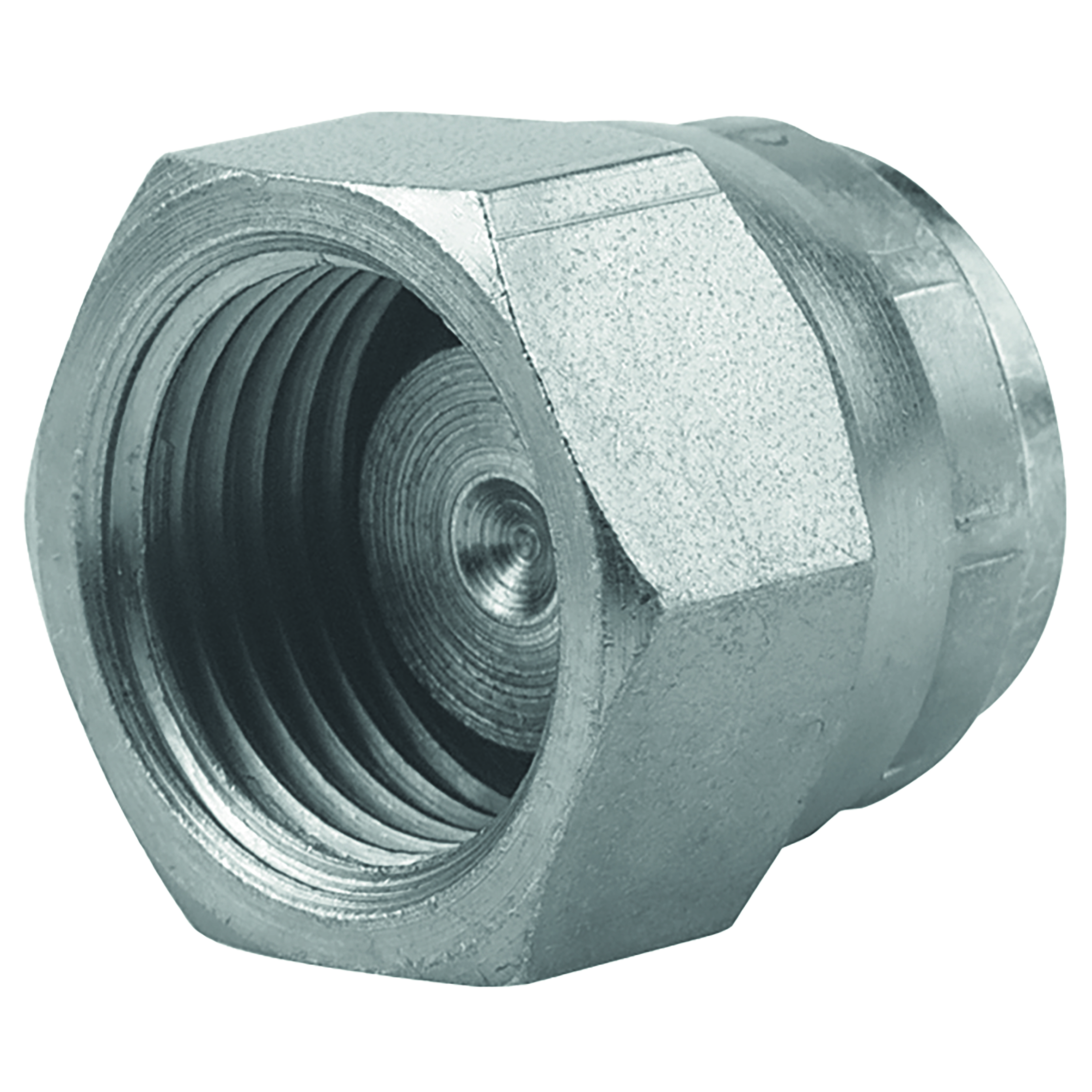 5/8" BSPP SWIVEL 60  CONED BLANKING CAP