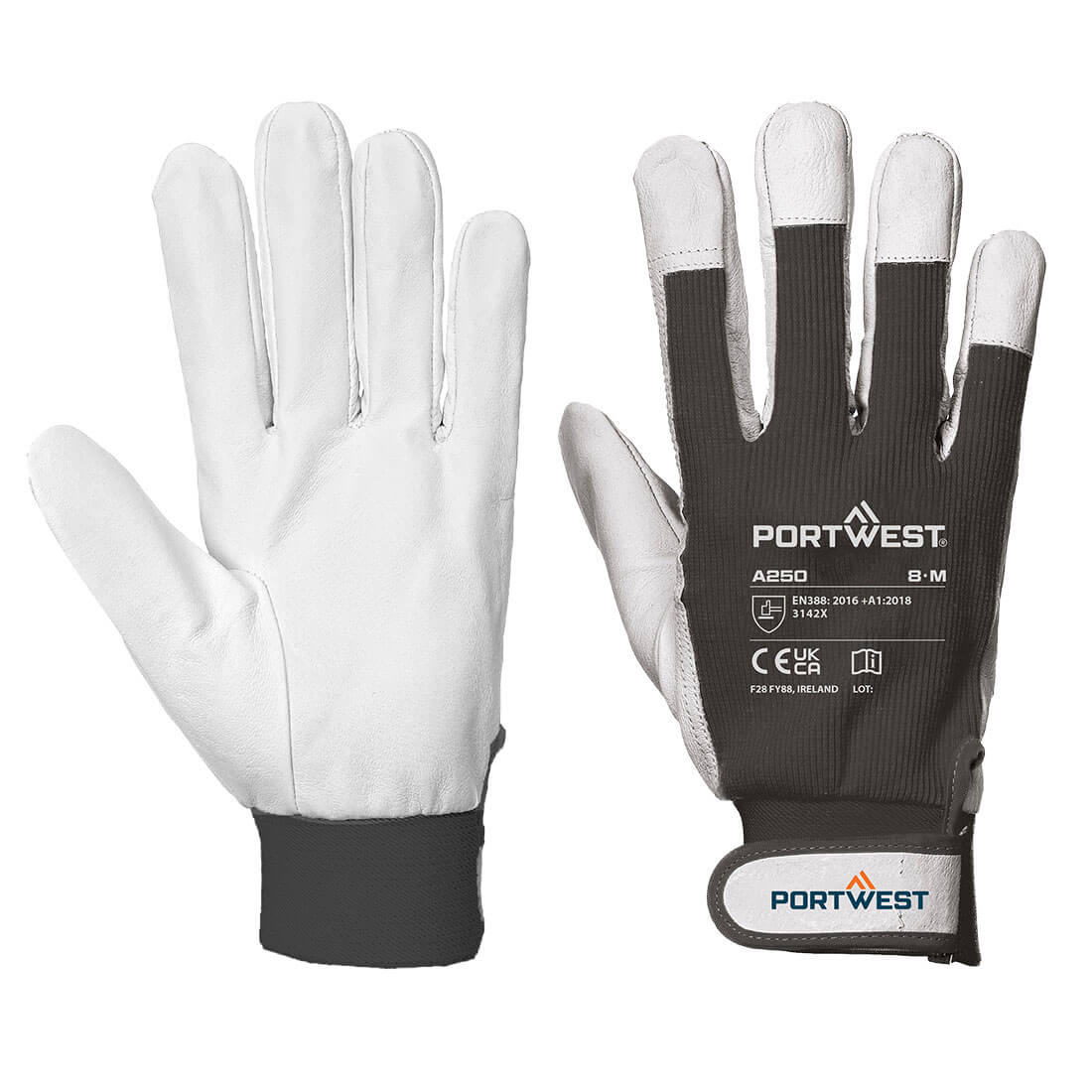 A250 Tergus Gloves Black