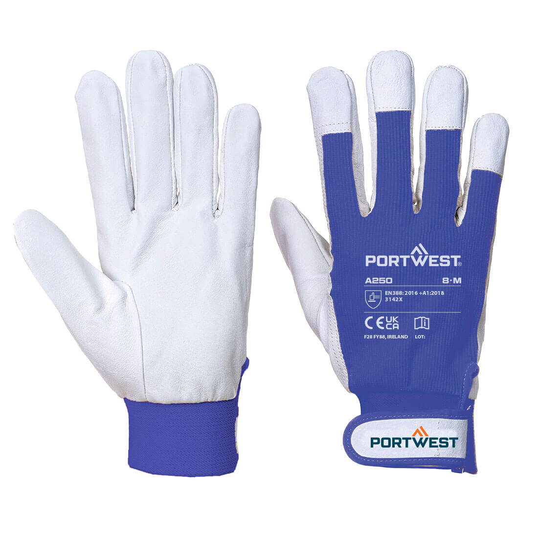A250 Tergus Gloves Blue