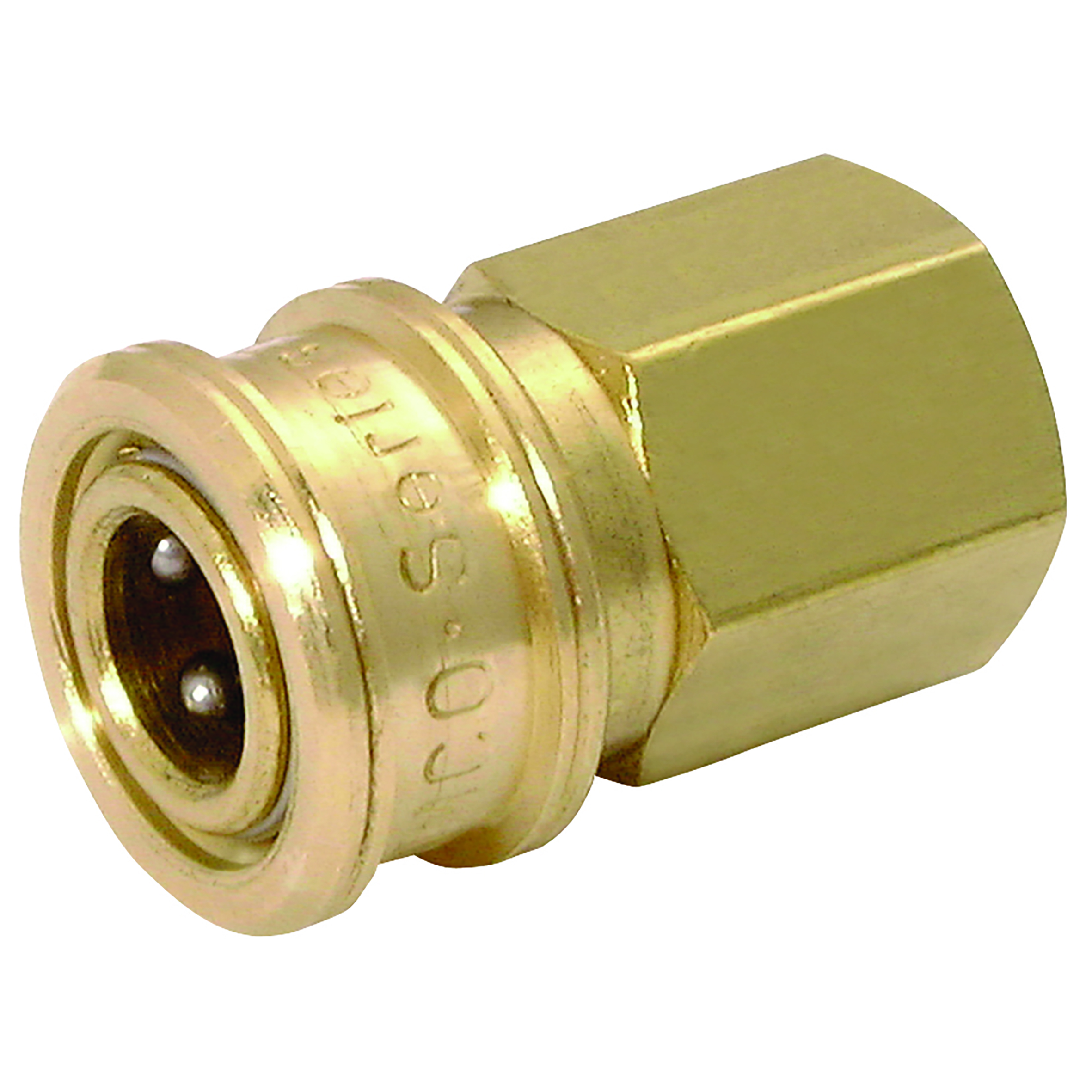 1/4" NPT Female Coupling