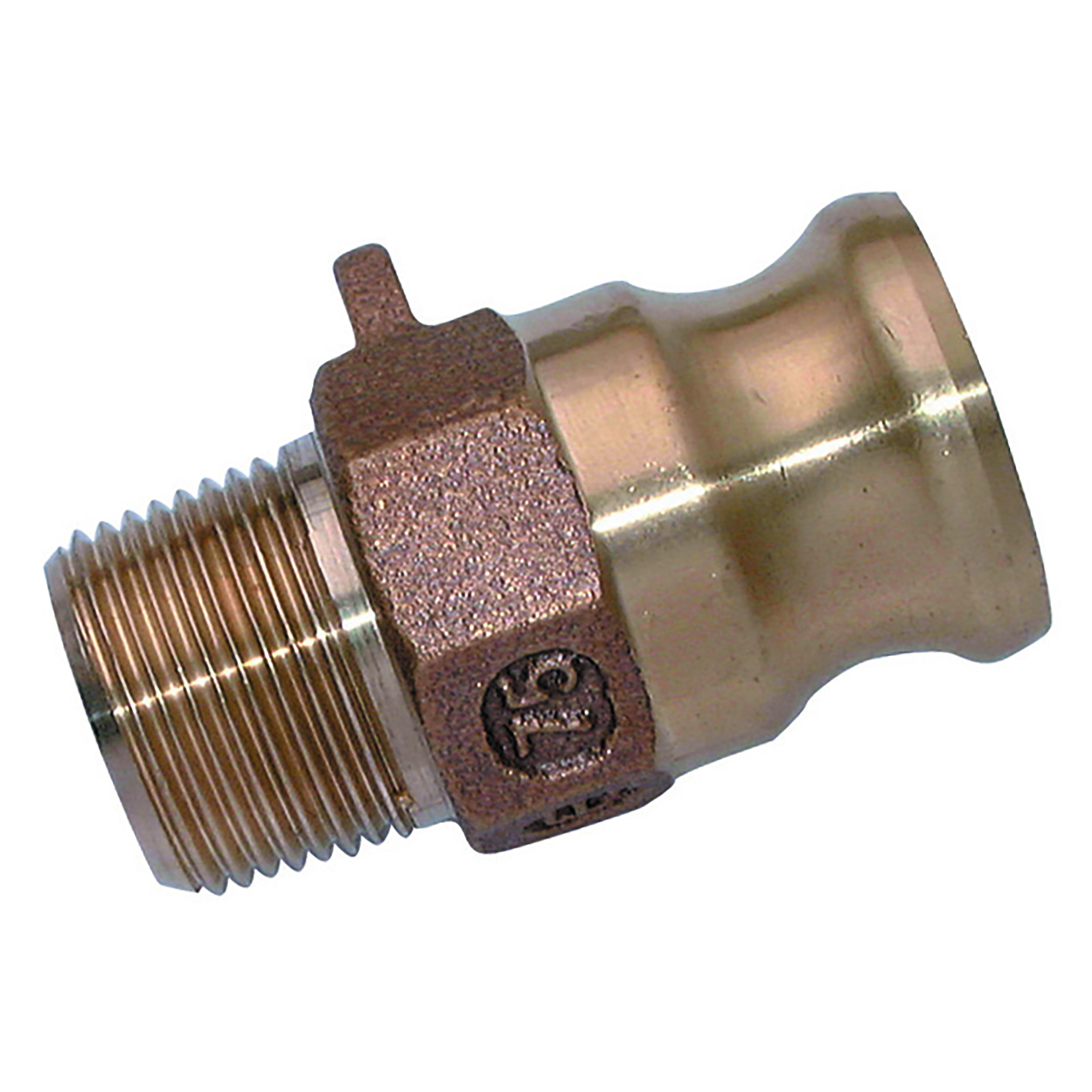 CAMLOCK PART F 2" NPT BRASS