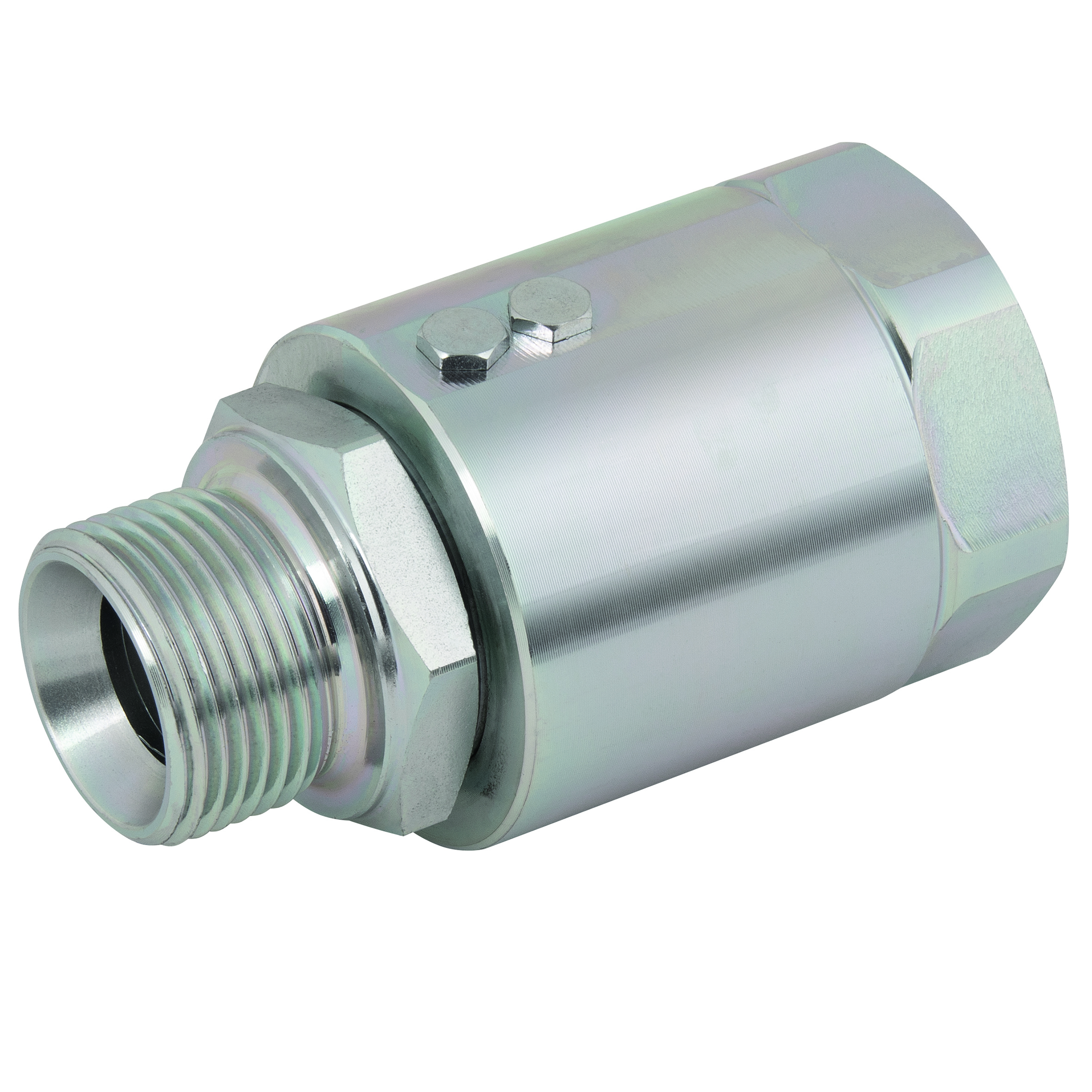 2" BSP  Male x 2" BSP  Female Swivel Joint